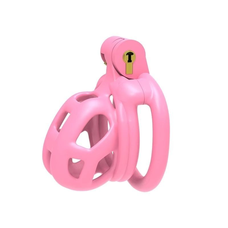 Cobra Loyal Lock Pink First Generation Second Generation Chastity Lock ...
