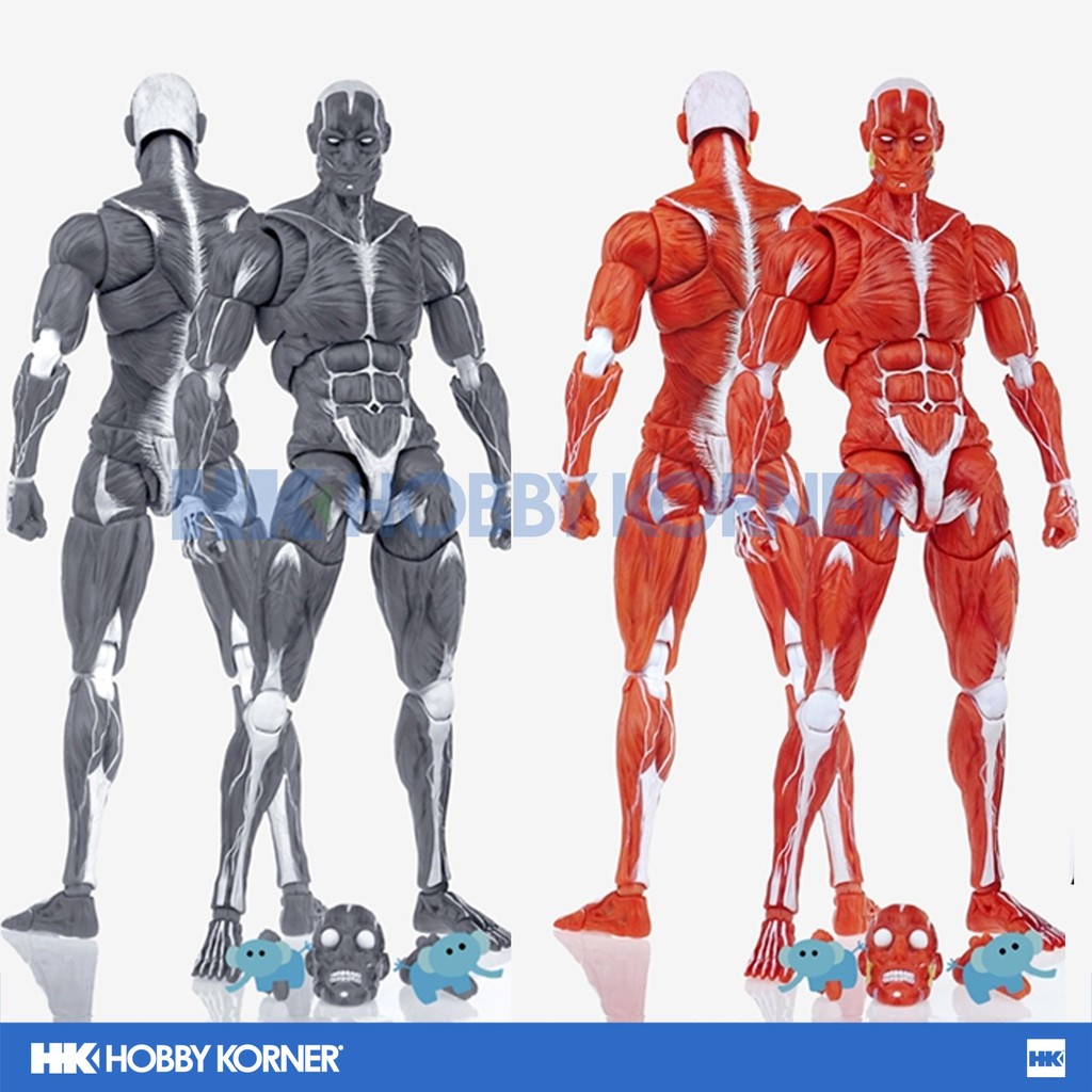 [ETA: Q3 2025] (PRE-ORDER) KEEPGOING 1/12 Scale Human Muscle Model ...