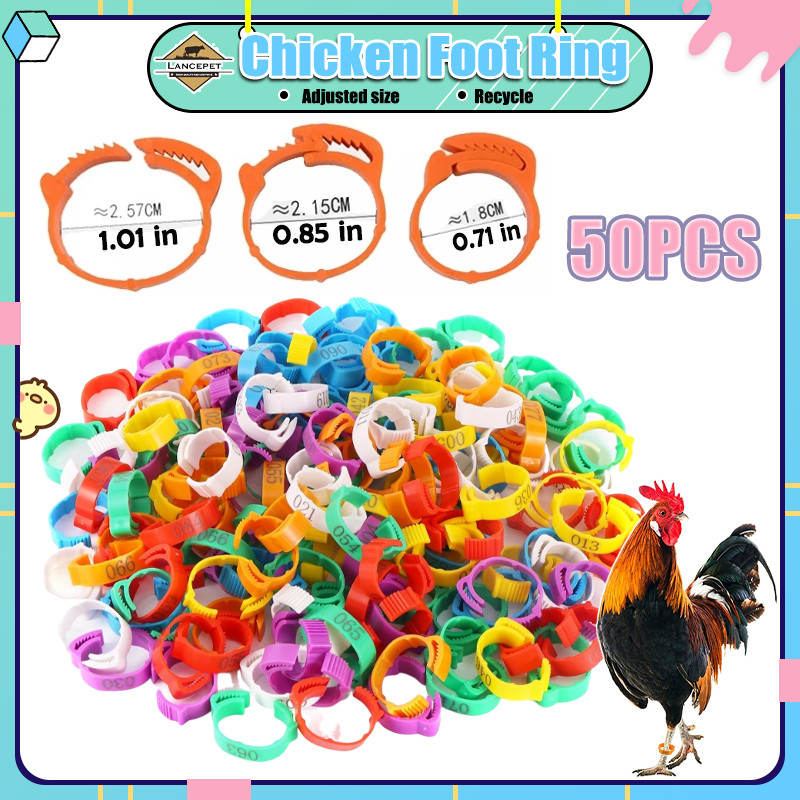 10/50Pcs Chicken Foot Ring Inner Diameter 2cm to 2.4cm Retractable ...