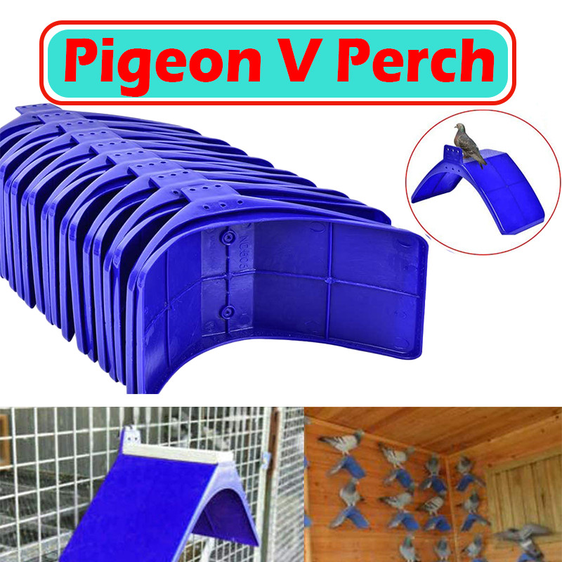ABS Pigeon V Perch Reusable Pigeon Rest Stand Dove Rest Dwelling Stand ...