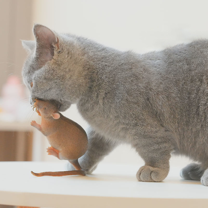Realistic mouse and cat toys, cat toys, soft rubber, silent teasing ...