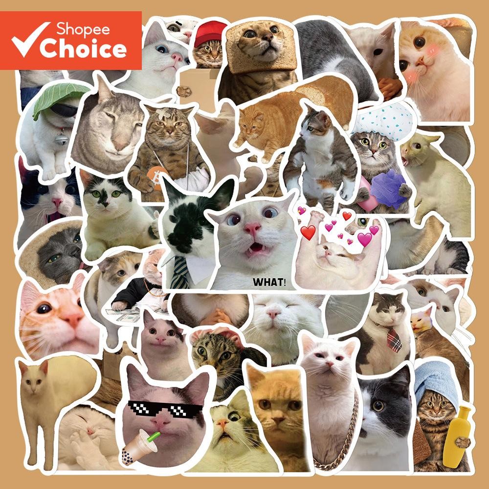 Stickers 50Pcs/Set DIY Fashion Waterproof [Funny Cats Emoji Series 01 ...