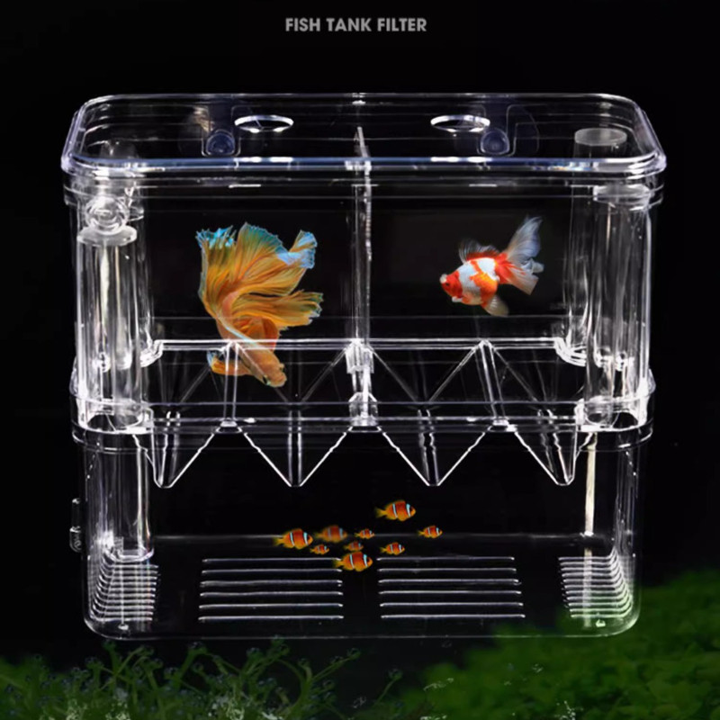 Fish Tank Incubation Box Guppy Betta Isolation Box Small Fish Tank Fry ...
