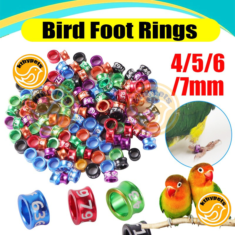 Bird Ring Legband Bird foot rings 4mm,4.7mm,5mm,6mm,7mm Ring for ...