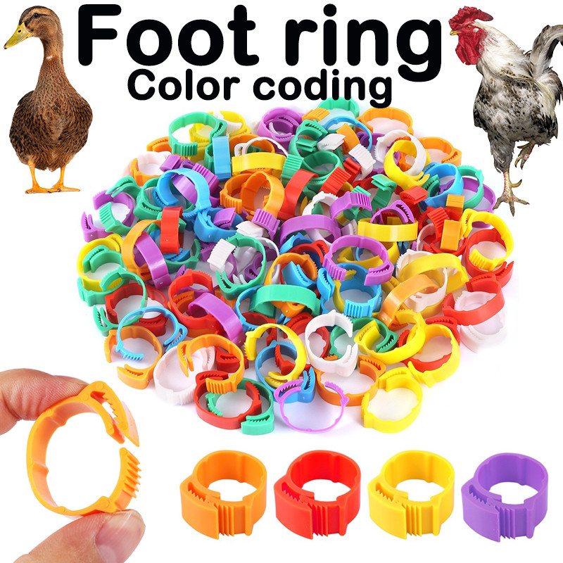 50Pcs Chicken Foot Ring Multicolor Retractable Adjustable Poultry Leg ...