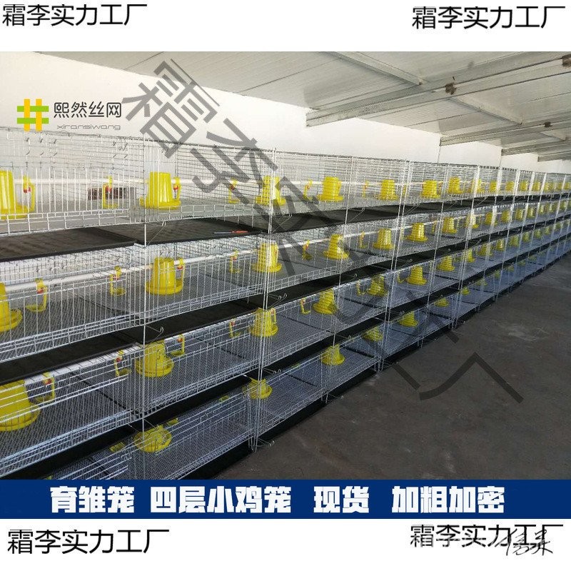 Farmhouse Encrypted Breeding Feeding Box Chicken Brooding Cage Multi ...