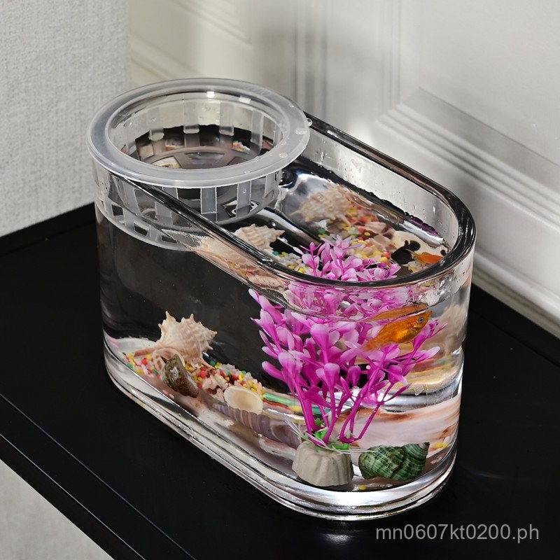 Transparent Creative Plant Simple Glass Fish Tank Container Transparent ...