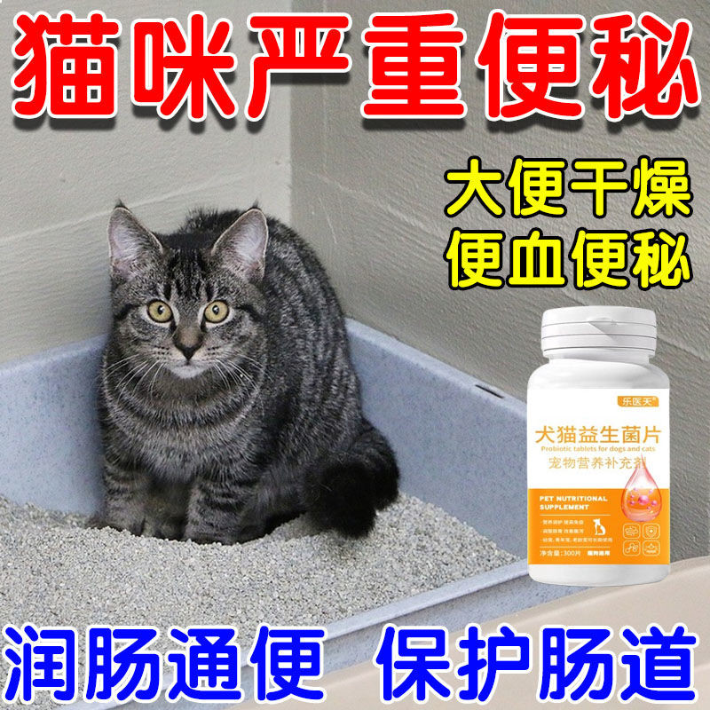 Fresh Look at 2025 New Style Pet Constipation Cats Dogs Constipation Can T