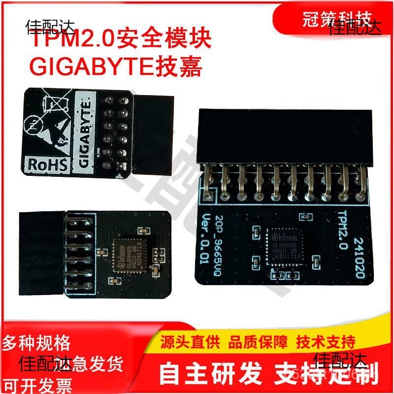Motherboard_GC-TPM20 TPM S Module 010SPIM000TPM2.0 PPV4 | Shopee ...