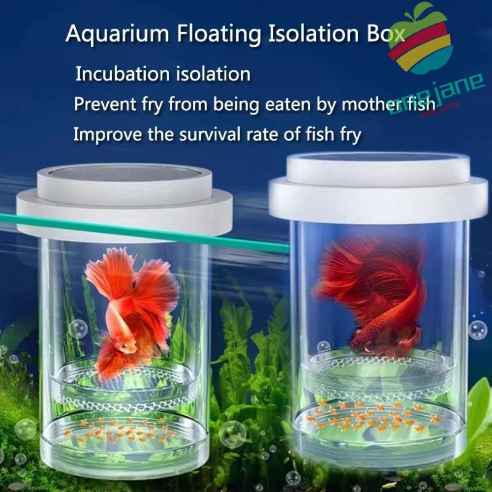 ONE-JANE Floating Fish Breeding Isolation Box, Transparent Plastic Mesh ...