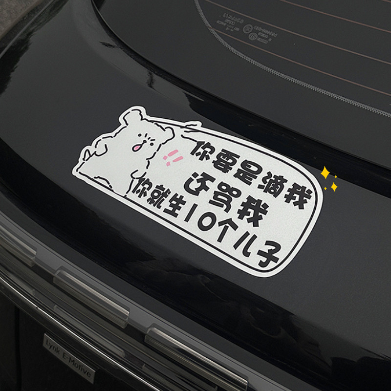 Brand New2025New Model Internship Car Sticker Magnetic Cute New Driver ...