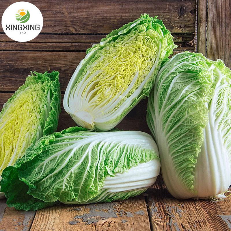 (200 seeds/pack) Green Leafy Chinese Cabbage Vegetable Seeds/Napa ...