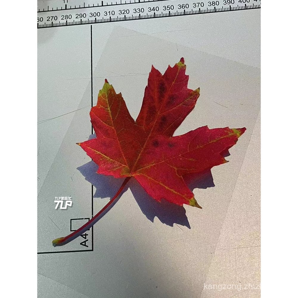 New Product TLP Reflective Car Stickers Mood Slice Colorful Red Maple ...