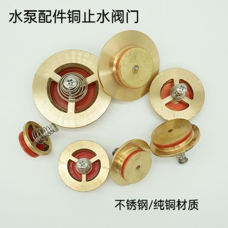 Self-priming Pump Check Valve Check Valve Spring Valve Self-priming ...