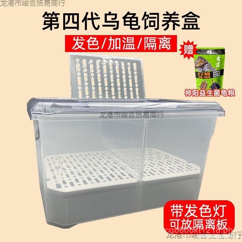 Isolation Box Turtle Shell Turtle Hatchling Box Sediment Coloration ...
