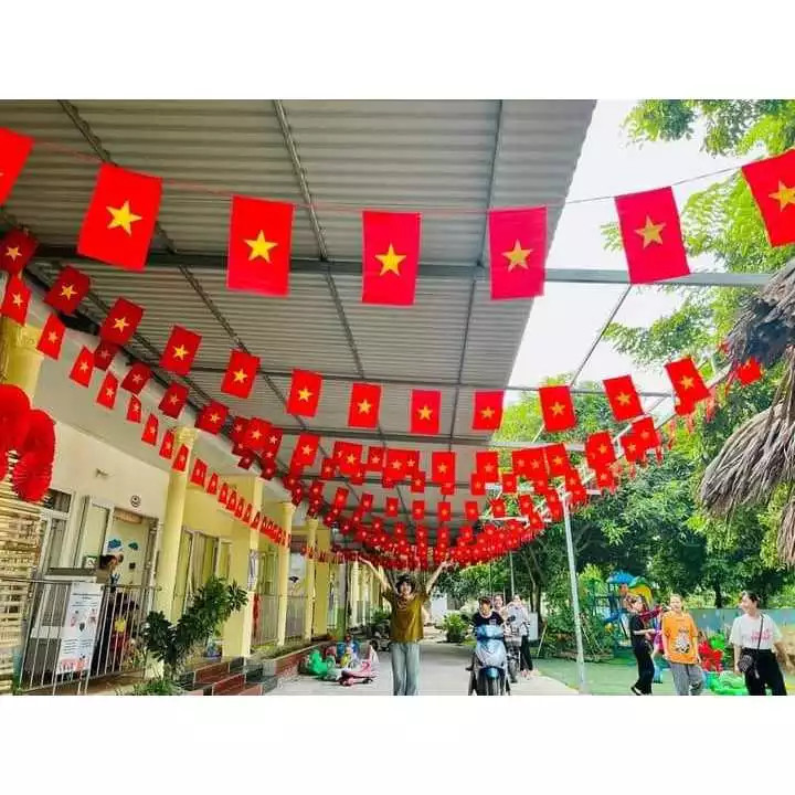 1 roll of Star String Flags, National String Flags Printed on 2 Sides ...