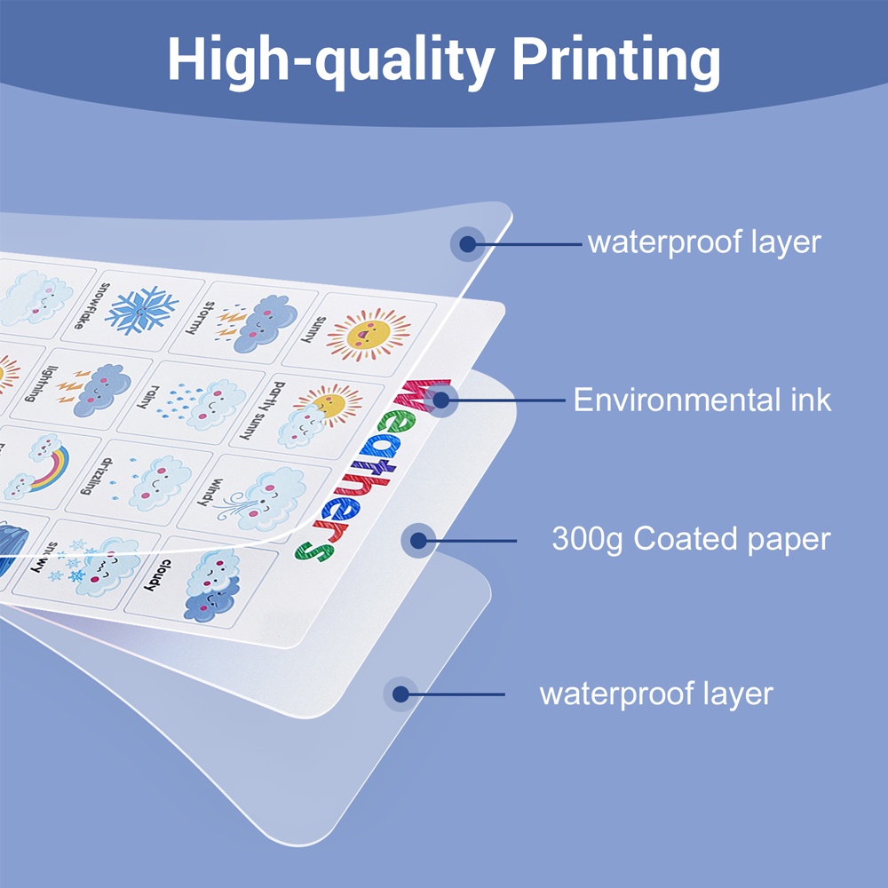 Waterproof Weather Words Educational Poster - Montessori English ...