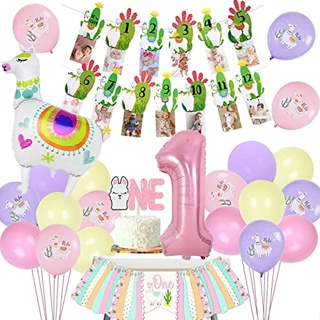 Shop fiesta theme party for Sale on Shopee Philippines