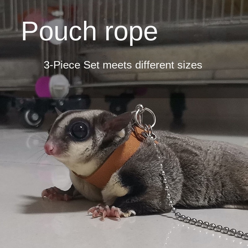 Spot Goods Sugar Glider Hand Holding Rope Clothes Outing Rope Honey ...