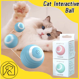 cat toy - Best Prices and Online Promos - Apr 2024