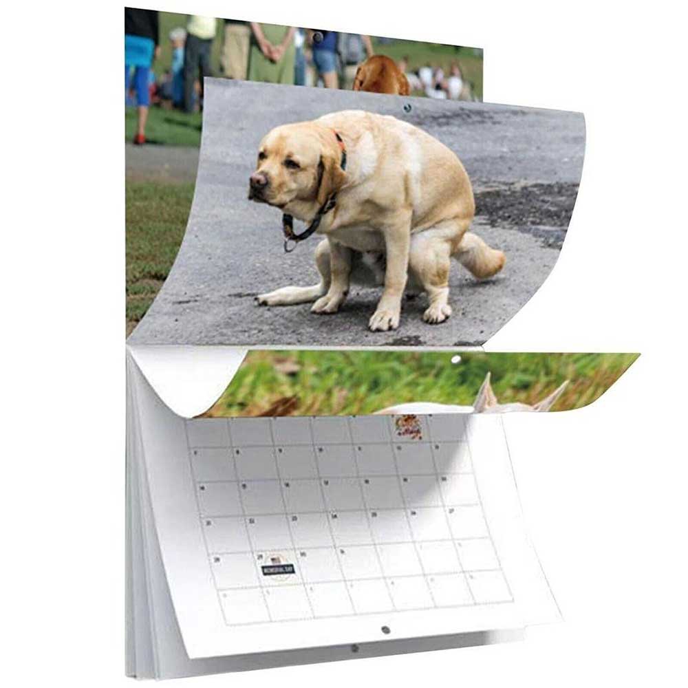 2024 Pooping Dogs Calendar,Dog Pooping in Beautiful Place Calendar For