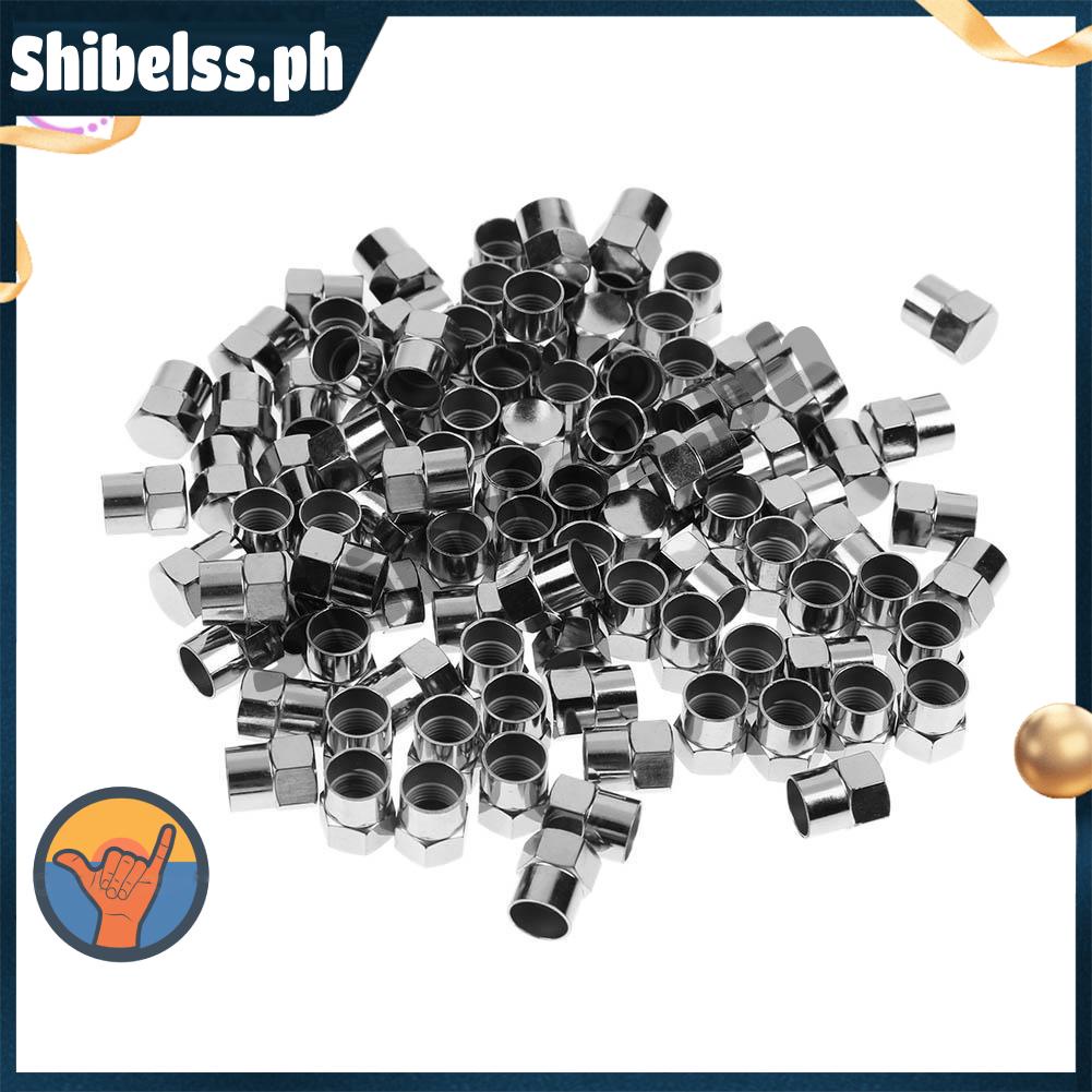 100-Pack Chrome Plated Tire Valve Stem Caps – Silver Air Dust Covers For Wheels