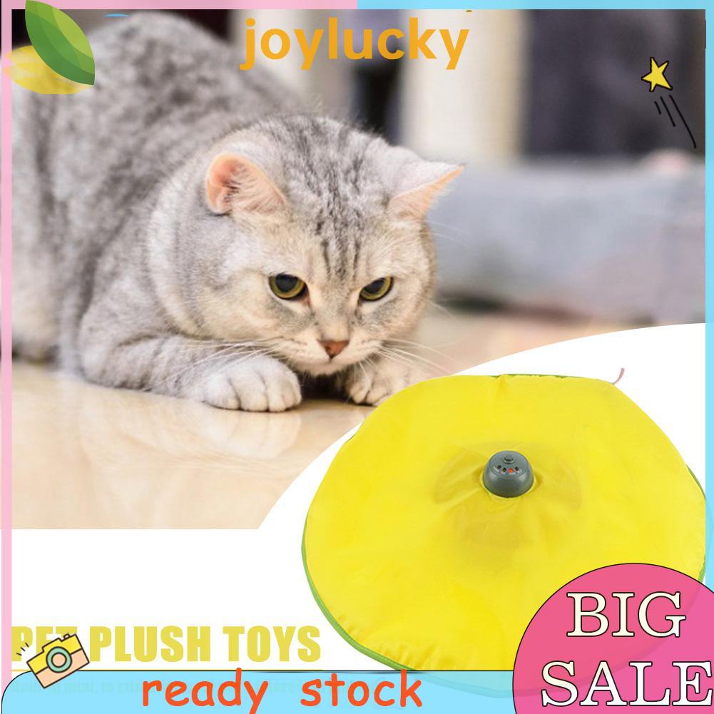 4 Speeds Cat Meow Electronic Tease Cat Undercover Mouse Interactive