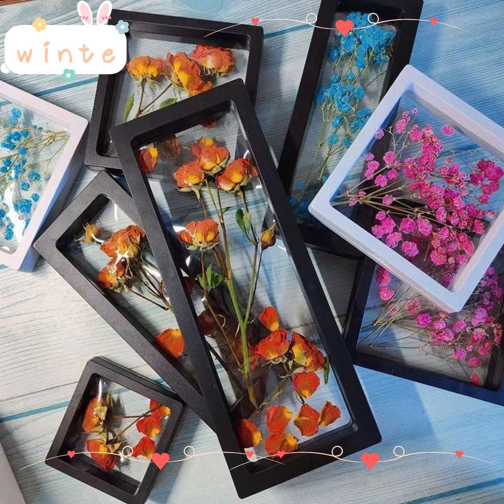 WINTE Picture Frame, Transparent DIY Frame Storage Box, Black White ...