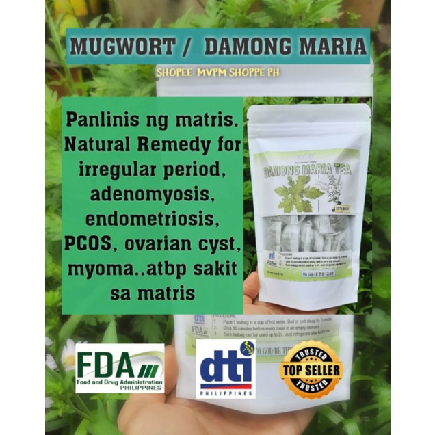 ♞mugwort Damong Maria Artemisia Fda Dti 12 Teabags Shopee