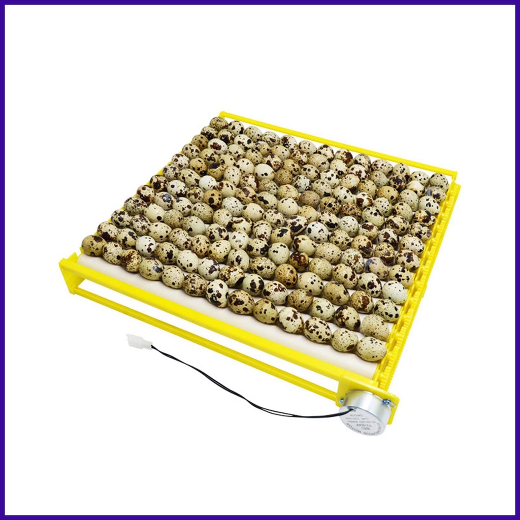 Automatic Egg Turner Automatic Roller Egg Tray for Incubator Egg