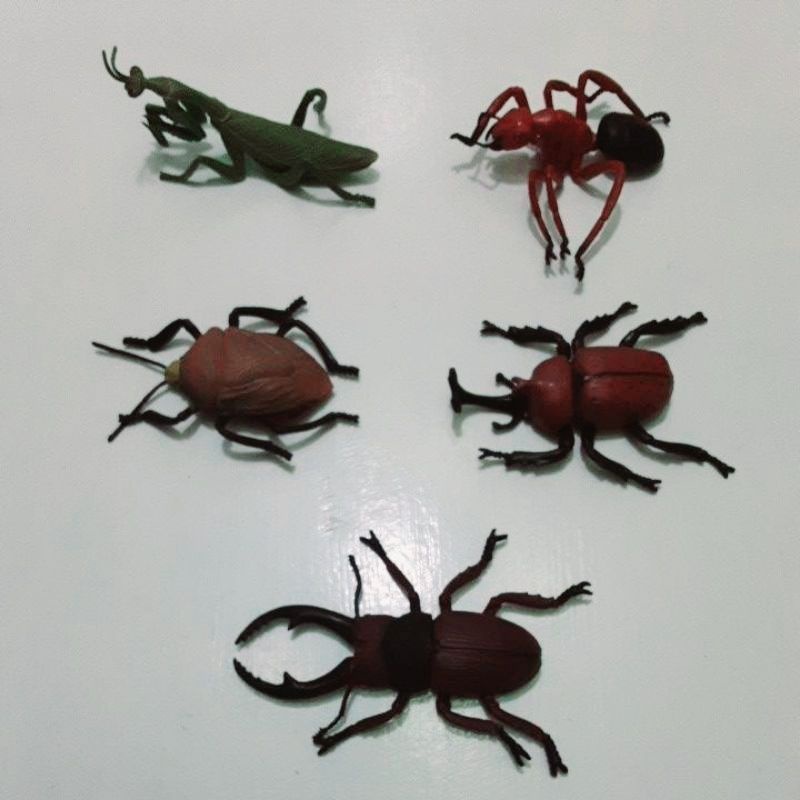 KIDS Giant Imitation Insect Collection Toys ( Per Piece ) | Shopee ...