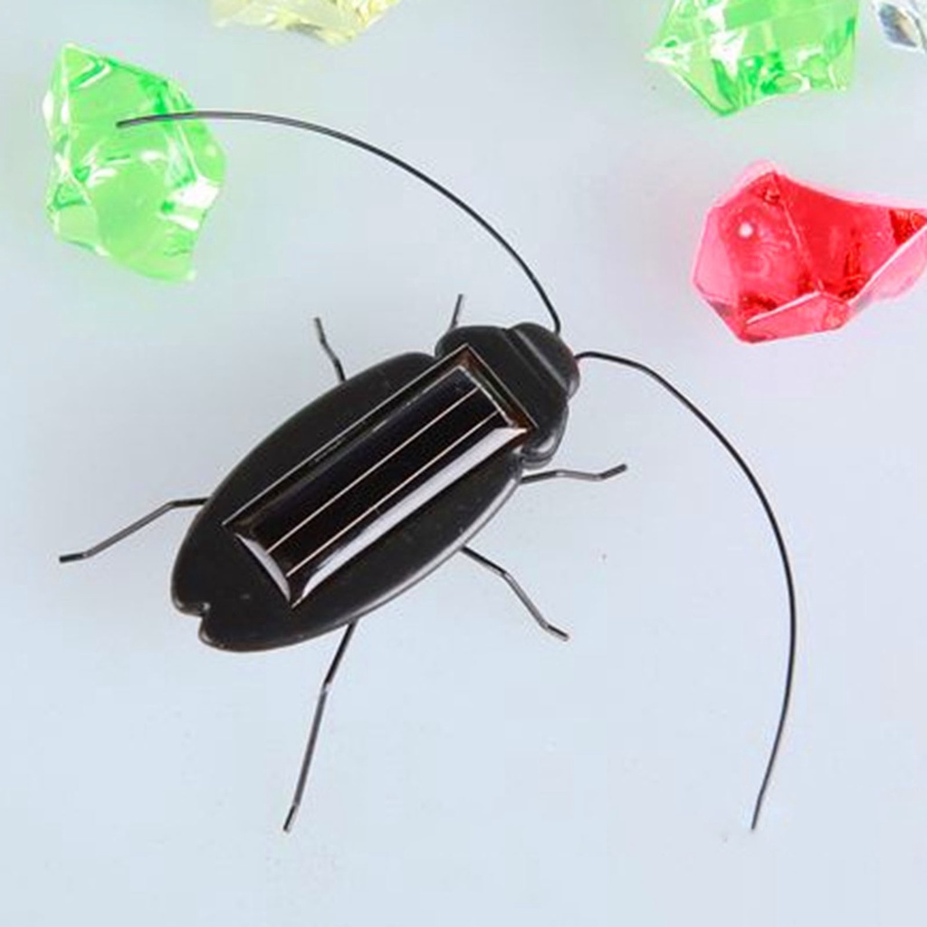 Educational Solar Powered Roach Eco-Friendly Educational Fake Insect ...