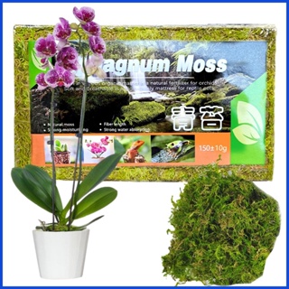 Natural Sphagnum Moss Orchid Potting Mix for Orchid Gardening Plants 150g