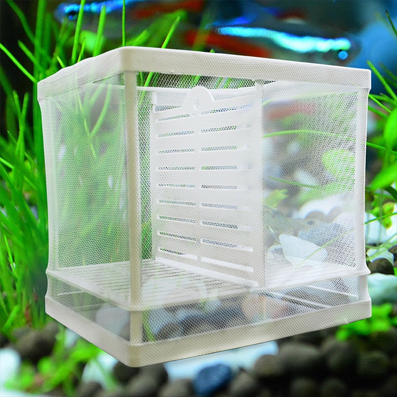 Fish Breeding Box Aquarium Breeding Incubator Mesh Box With Isolation