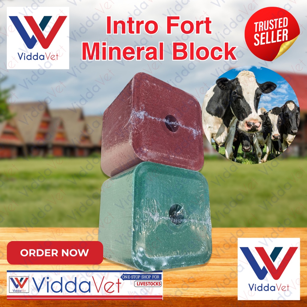 Intro Fort Block Mineral Block 5kgs Holland for Cattle Sheep Goat ...