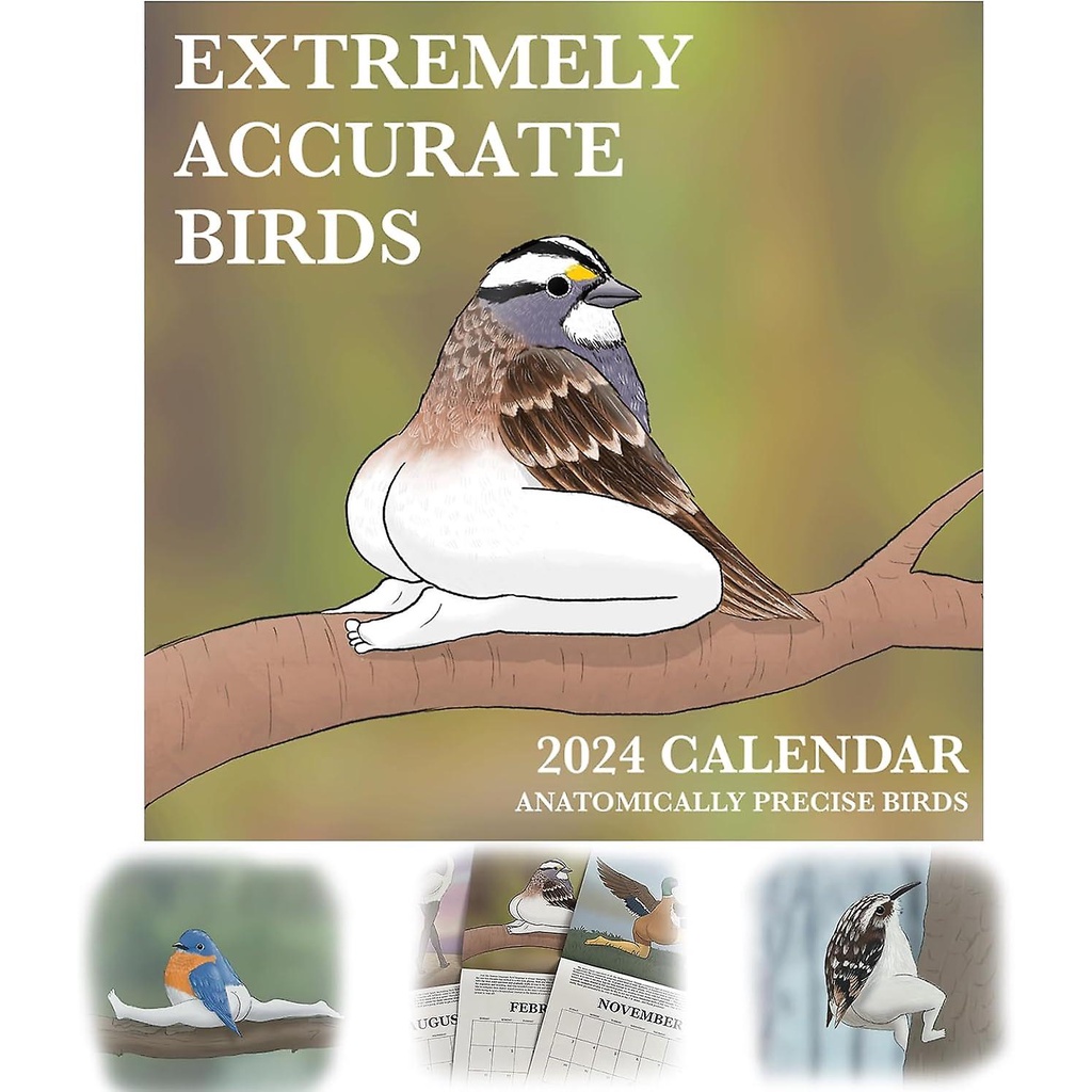 2024 Calendar Of Extremely Accurate Birds, Calen dar Of Extremely