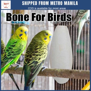 Bird Catching Net  Shopee Philippines