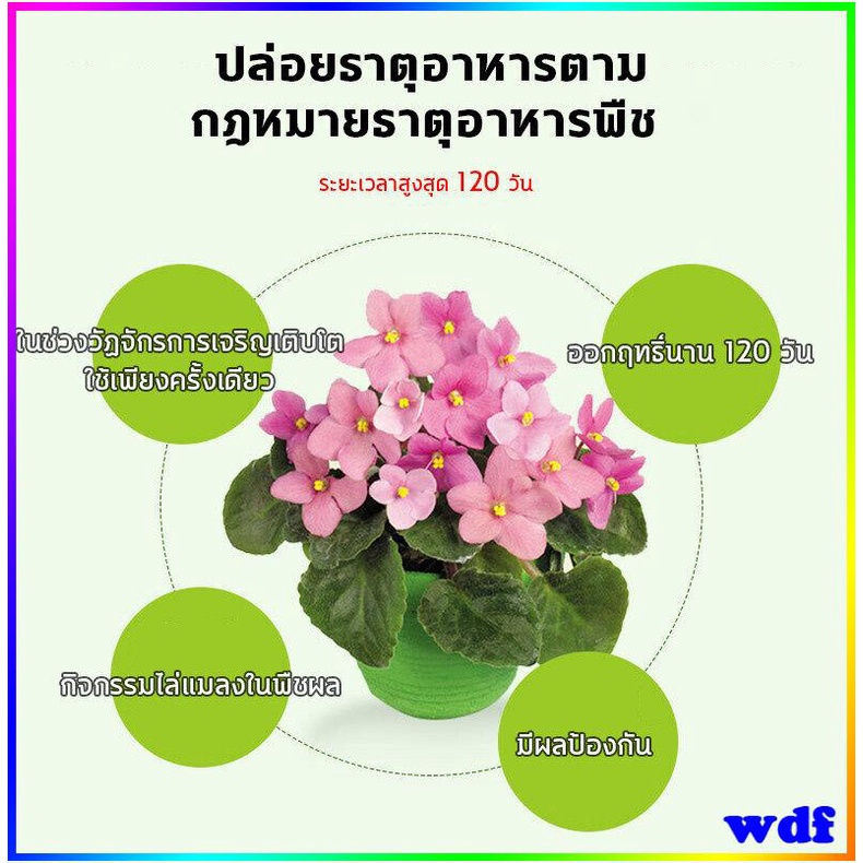 Horticultural Insect Control Tablets Boric Acid Roach Killer with Lure ...