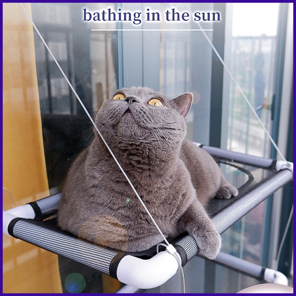 Cat Bed Window Double-Layer Cat Window Hammock Window Perch Safety Cat ...