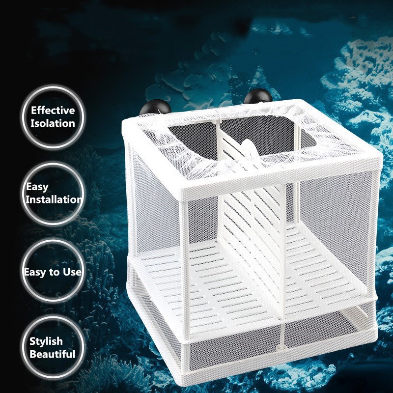 Fish Breeding Box Aquarium Breeding Incubator Mesh Box With Isolation ...