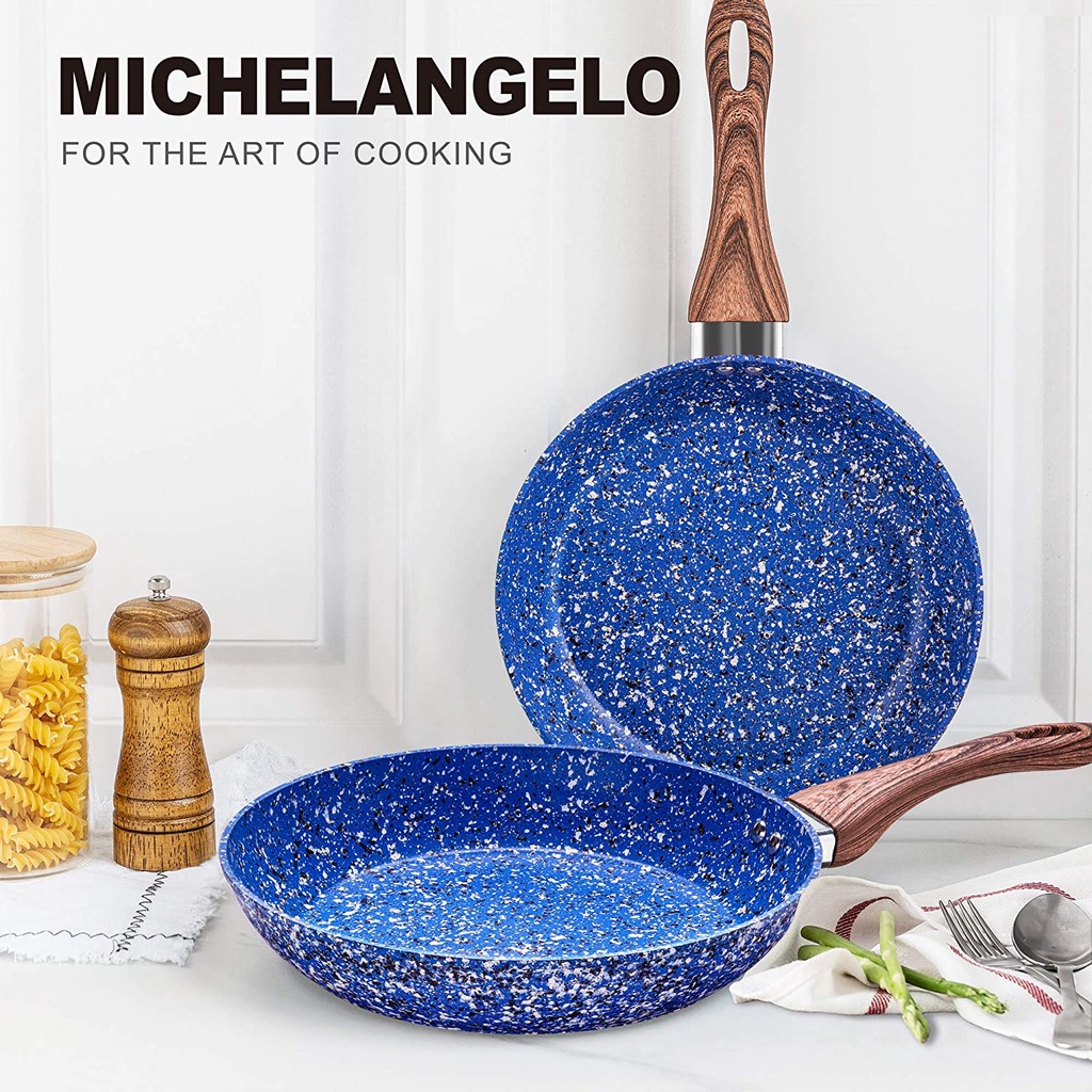 Stainless Steel Nonstick Frying Pan Set with Lids, 9.5 & 11 Inch  MICHELANGELO
