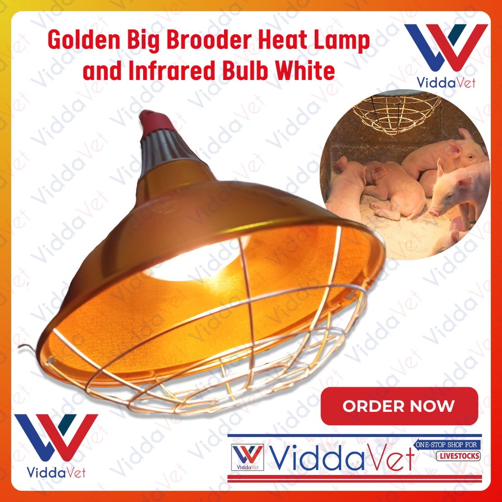 Viddavet Big Golden Hood And Wiring For Brooder Lamp Big Golden Heat