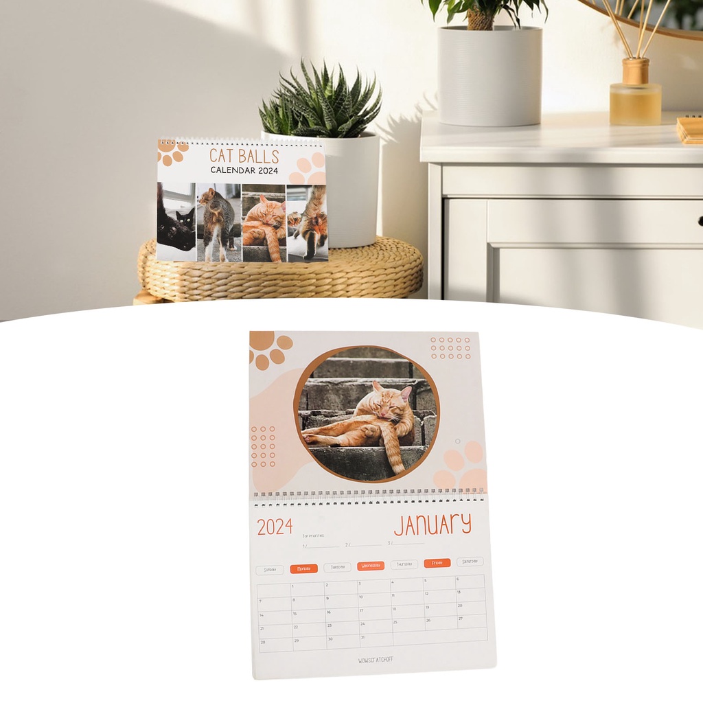 EASCat Balls 2024 Calendar 12 Month Funny Cat Balls Calendar Cat