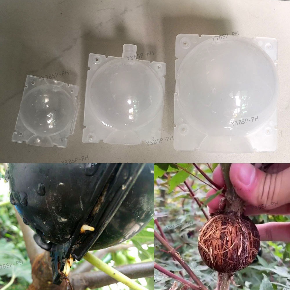 12cm Fruit Tree Plant Rooting Ball Root Growing Boxes Case Grafting ...