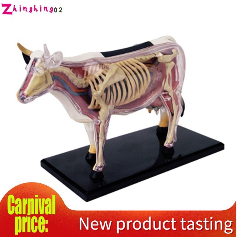 4d Human Full Skeleton Anatomy Model puzzle Assembling Toy Medical Teaching Aid Laboratory Education Equipment master