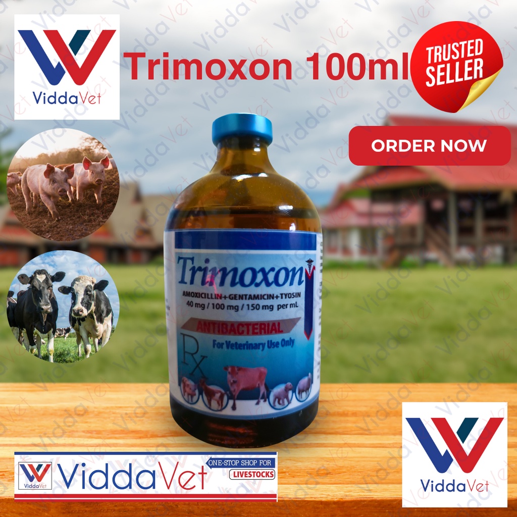 Trimoxon 100ml anti piglet diarrhea amoxicillin gentamycin tylosin for ...