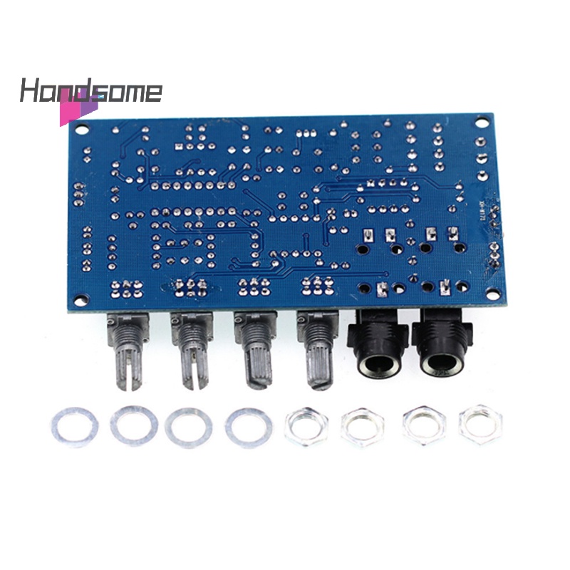 Handsome PT2399 Dual AC12V Digital Microphone Amplifier Board Karaoke