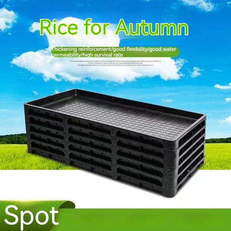 Rice Seedling Tray For Machine Insertion Dedicated To Reusable Hard