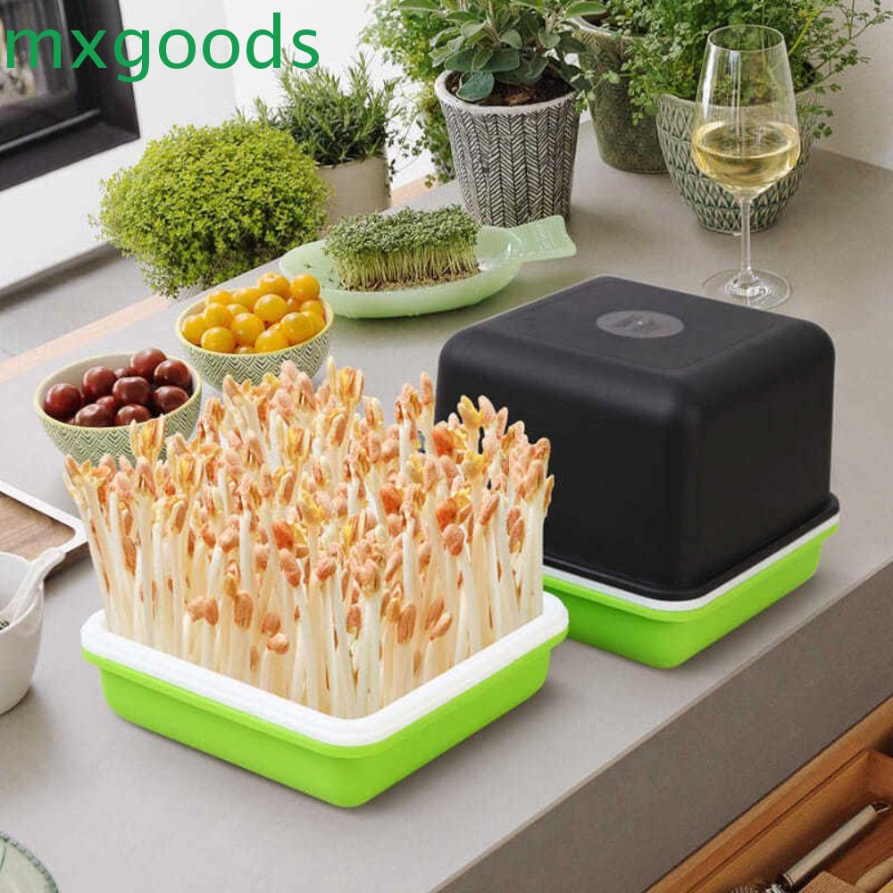 MXGOODS Seedling Tray Ease To Clean 4 Piece Garlic Bean Sprout Plant ...