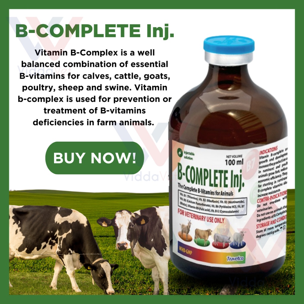 brands vitamin b complex complete vitamin v complex b1 b6 b12 vitamin b